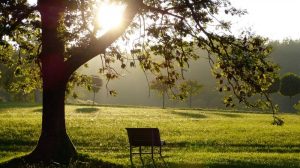 Silver Linings Recovery Center Relapse Warning Signs of Drugs & Alcohol